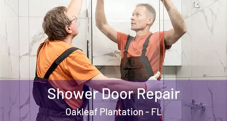 Shower Door Repair Oakleaf Plantation - FL