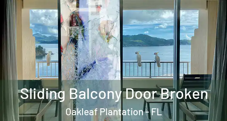 Sliding Balcony Door Broken Oakleaf Plantation - FL
