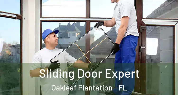  Sliding Door Expert Oakleaf Plantation - FL
