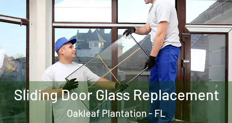 Sliding Door Glass Replacement Oakleaf Plantation - FL