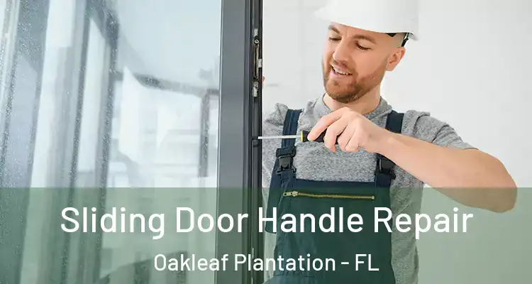  Sliding Door Handle Repair Oakleaf Plantation - FL