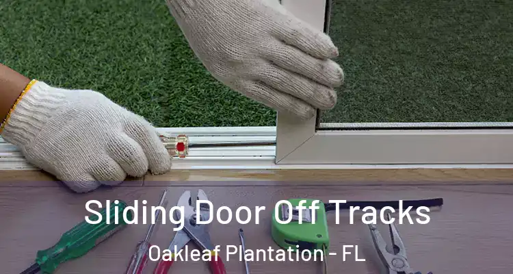 Sliding Door Off Tracks Oakleaf Plantation - FL