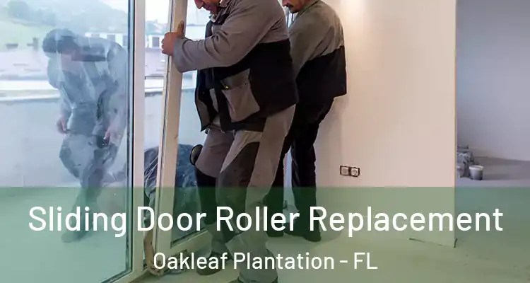  Sliding Door Roller Replacement Oakleaf Plantation - FL