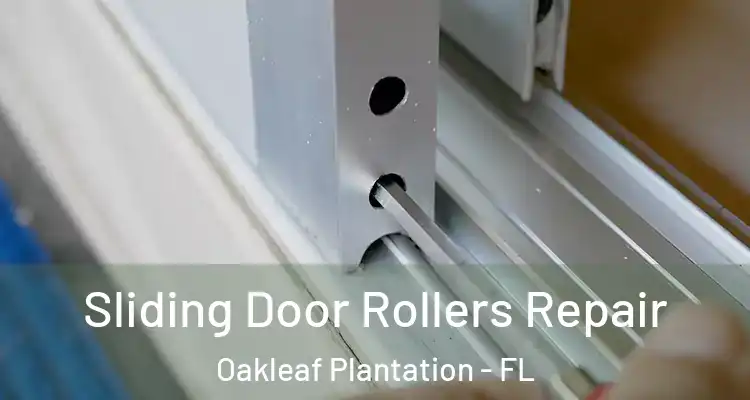 Sliding Door Rollers Repair Oakleaf Plantation - FL
