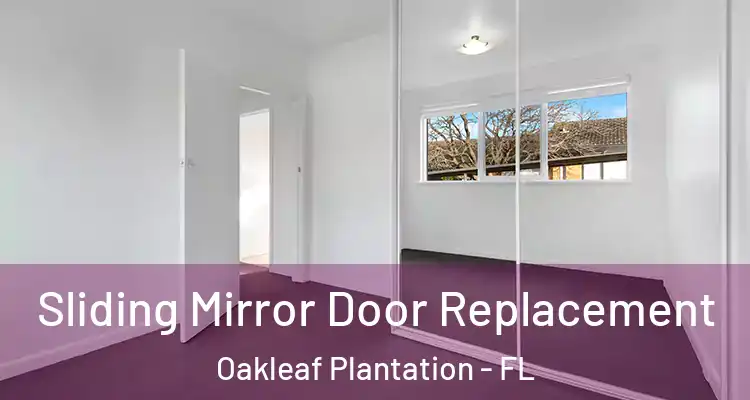 Sliding Mirror Door Replacement Oakleaf Plantation - FL