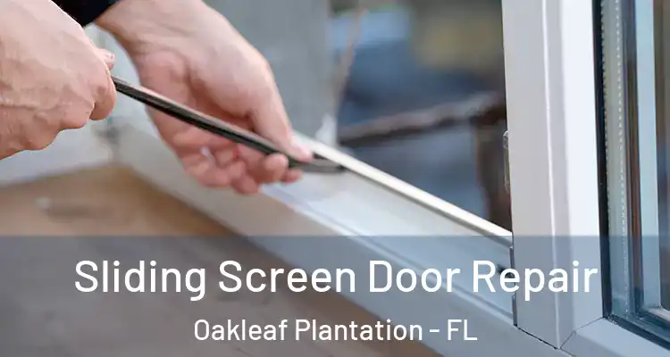 Sliding Screen Door Repair Oakleaf Plantation - FL