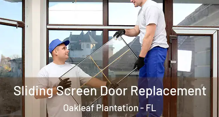 Sliding Screen Door Replacement Oakleaf Plantation - FL