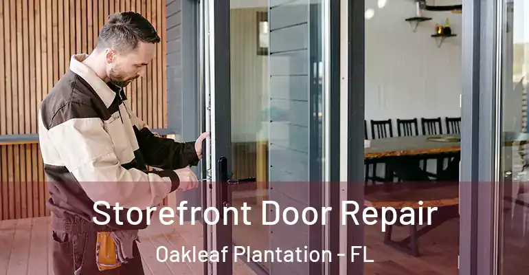 Storefront Door Repair Oakleaf Plantation - FL