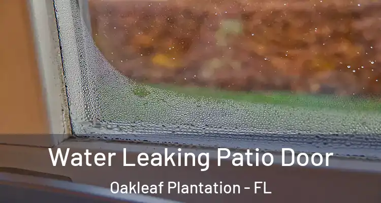 Water Leaking Patio Door Oakleaf Plantation - FL