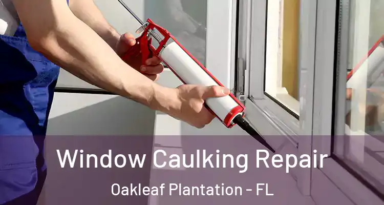  Window Caulking Repair Oakleaf Plantation - FL