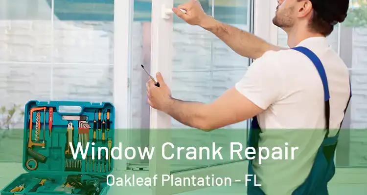 Window Crank Repair Oakleaf Plantation - FL