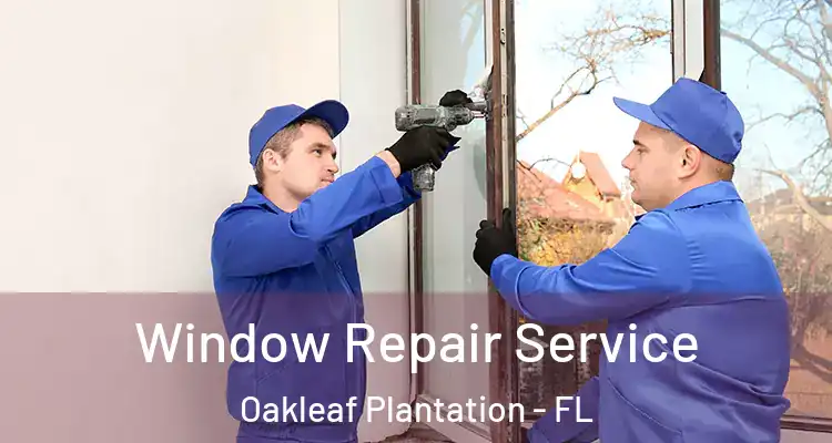 Window Repair Service Oakleaf Plantation - FL