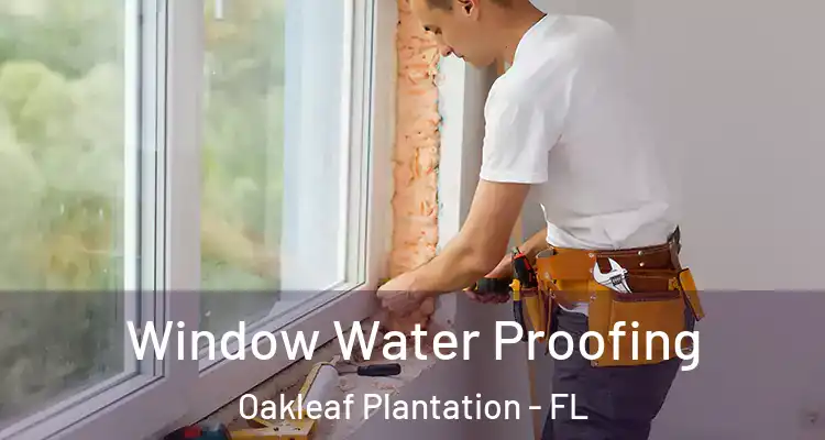 Window Water Proofing Oakleaf Plantation - FL
